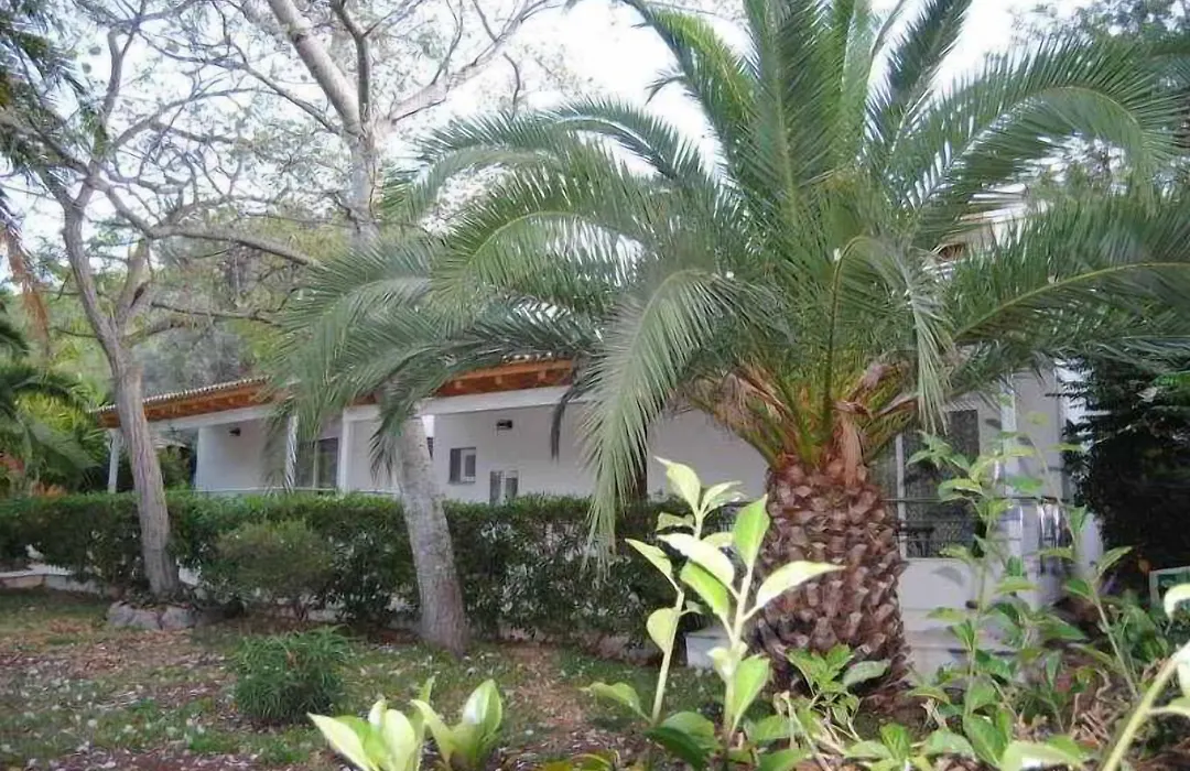 Soller Garden-1